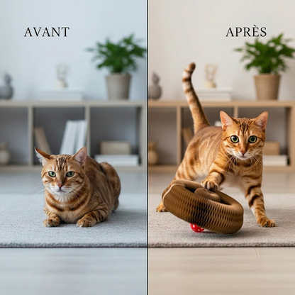 Le Griffoir Accordéon™