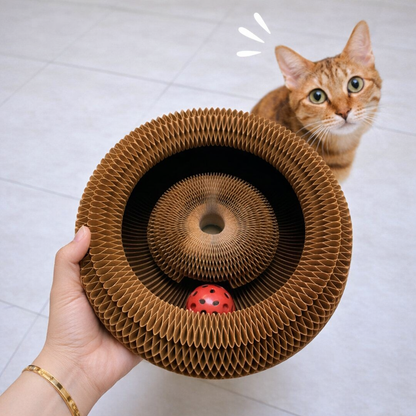 Le Griffoir Accordéon™